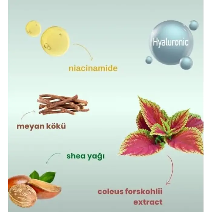 Vücut Güneş Kremi SPF 50