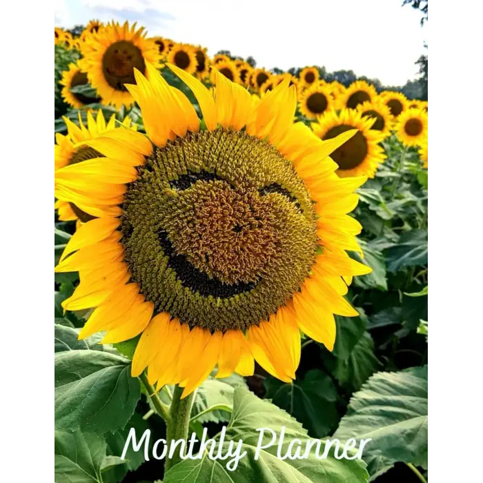 Weelky Planner Blank Monthly 8.5 X 11: Dıy Agendas