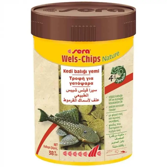 Wels-Chips 38 g 100 Ml