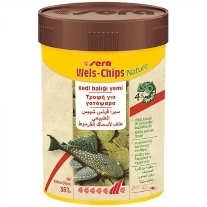 Wels-Chips 38 g 100 Ml