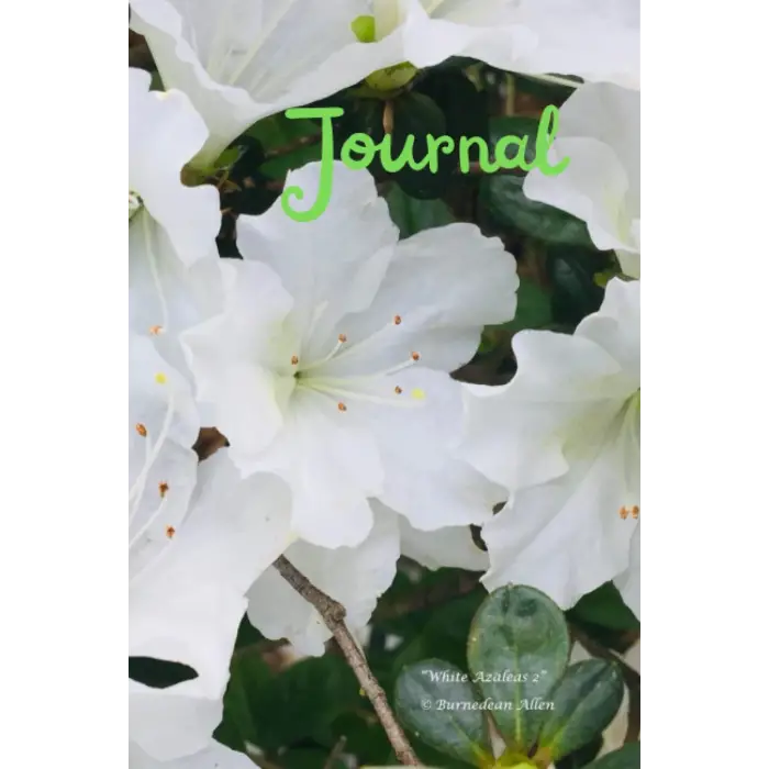 White Azaleas Journal