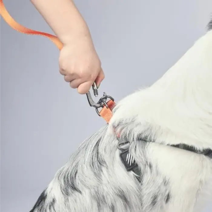 Wild Jungle S Köpek Harness