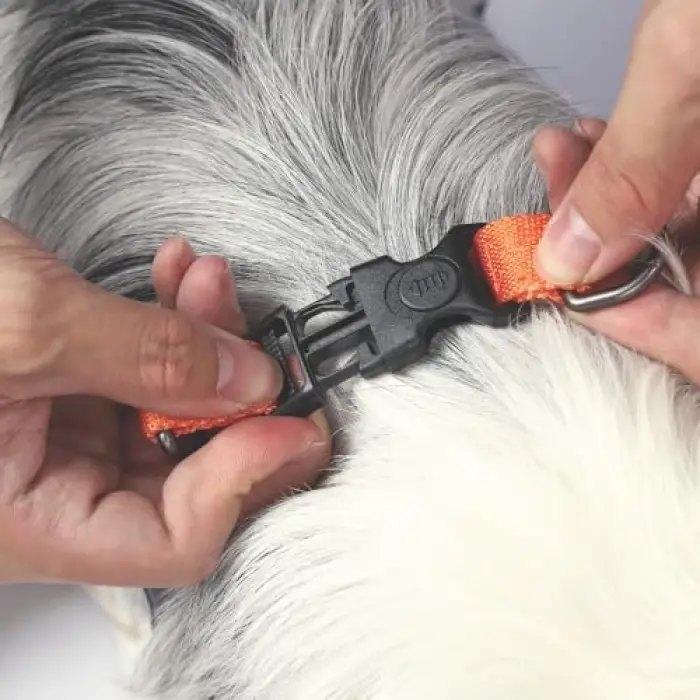Wild Jungle S Köpek Harness