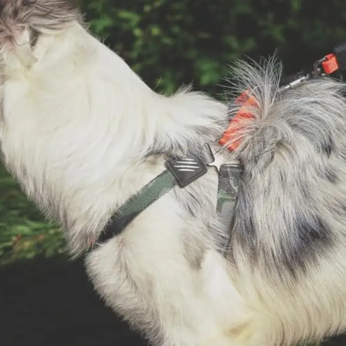 Wild Jungle S Köpek Harness