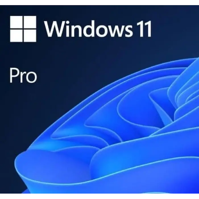 Windows 11 Pro HAV-00159 TR 64Bit Kutulu İşletim Sistemi