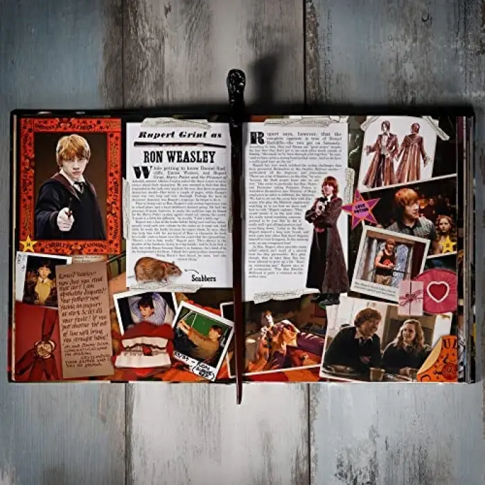Wizarding World; Harry Potter Asa, Ron Weasley