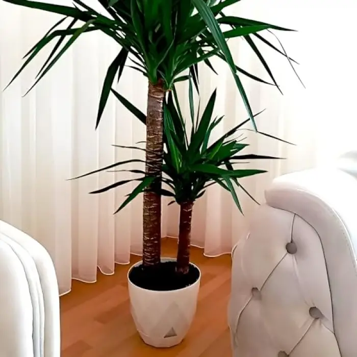 Yakamoz 1 9.2 L Bej Saksı