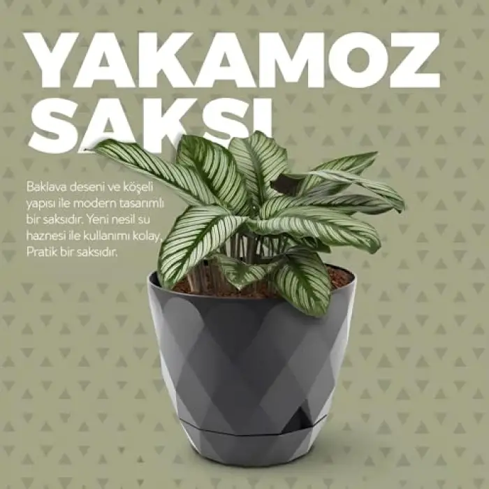 Yakamoz 1 9.2 L Bej Saksı