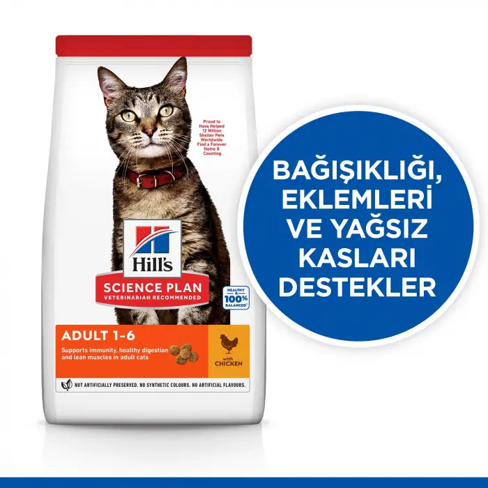 Yetişkin Kediler için Tavuklu Mama 1.5 KG