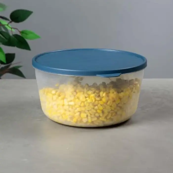 Yuvarlak Saklama Kabı, 3 L