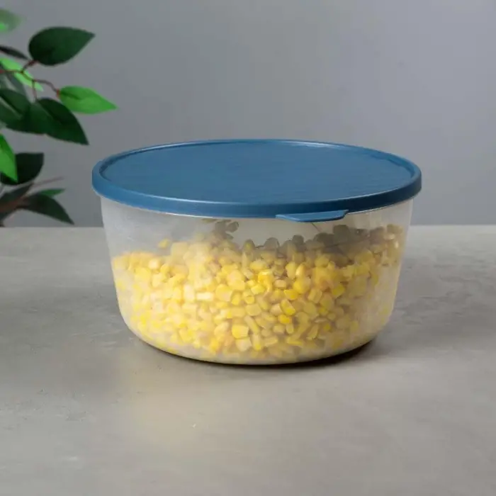 Yuvarlak Saklama Kabı, 3 L