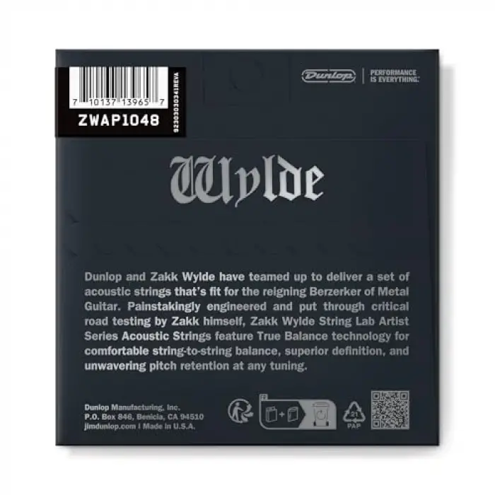 Zakk Wylde String Lab Akustik Gitar Teli 10-48
