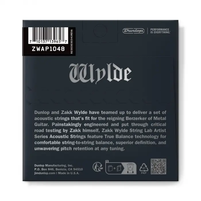 Zakk Wylde String Lab Akustik Gitar Teli 10-48