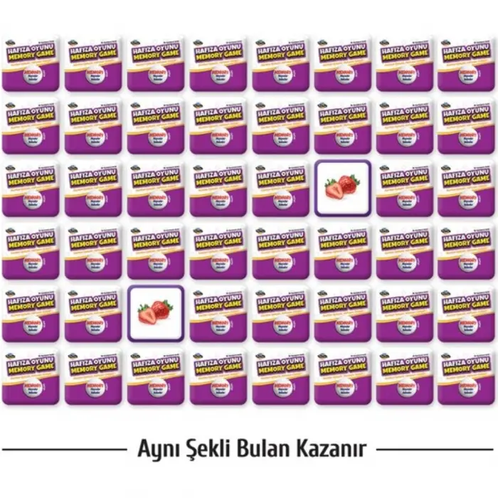 Zeka Hafıza Oyunu +2 Yaş