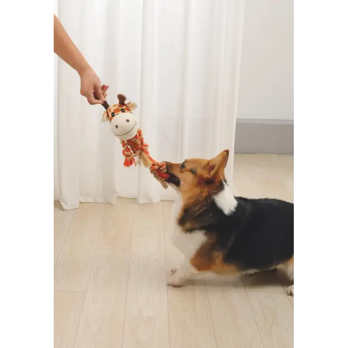 Zıa Köpek Oyuncağı