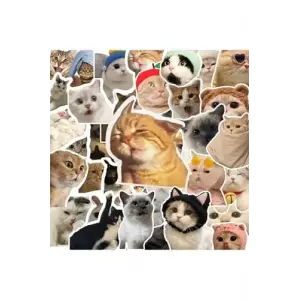 100Li Çılgın Kedi Sticker Set Laptop Notebook Tablet Sticker Seti
