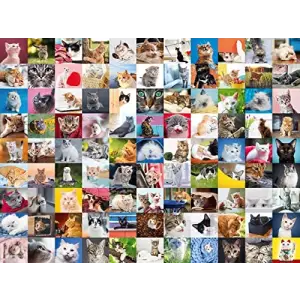 1500 Parça Puzzle 99 Kedi