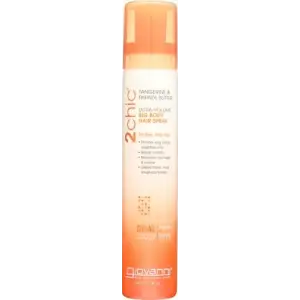 2 Chic Hair Spry Tang (1 x 5OZ)