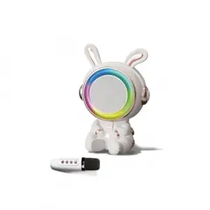 20W 2400 Mah Karaoke Mikrofonlu Bluetooth Hoparlör Bts-252