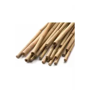 3lü Bambu Bitki Destek Çubuğu 180 Cm