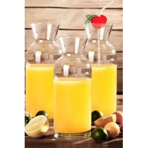 3lü Sunum Karafı 250 cc