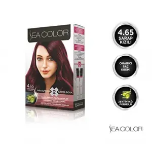 4.65 Şarap Kızılı Set Boya