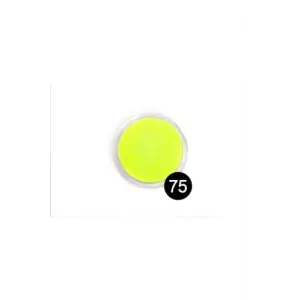 75 model sim