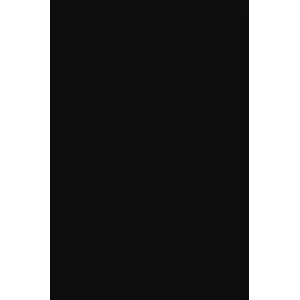Abanoz Kapaklı Günlük