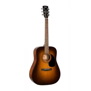 AD810 Ssb Akustik Gitar