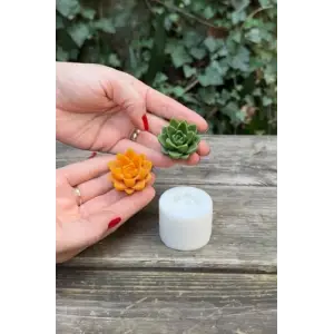 Agavoides Sukulent Mum Kalıbı (Silikon)