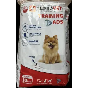Alıştırma Pedi 10lu 60x90