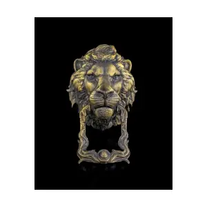Aslan Kapı Tokmağı