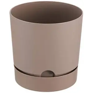 Begonya 21,5 L