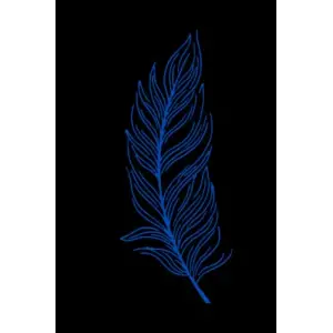 Blue Feather Journal