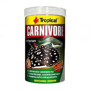 Carnivore 100 g Kovadan Bölme