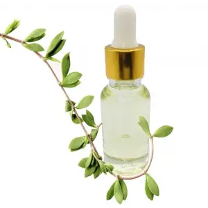 Çay Ağacı Yağı 20 ML