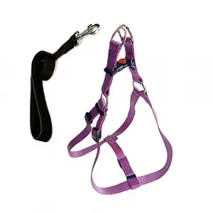 Cool Walk Harness Mor Köpek Göğüs Tasması L