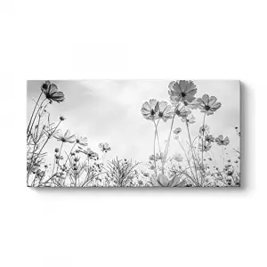 Cosmos Çiçeği Kanvas Tablo 140 x 70