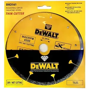 DX3161 Elmas Disk