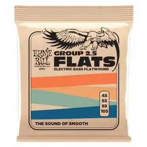 Flatwound Group 2.5 Elektrikli Bas Teli, Kalınlık 45–105