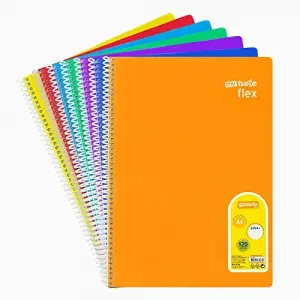 FLEX SP PP DEF.A4 120 YP.CIZGILI