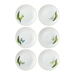 Folium Pasta Tabağı 6 Kişilik