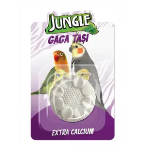 Gaga Taşı