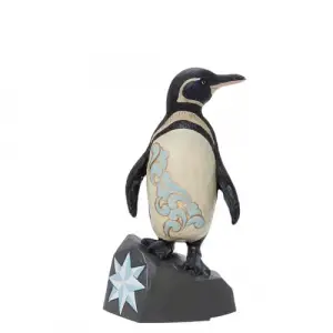 Galapagos Penguen