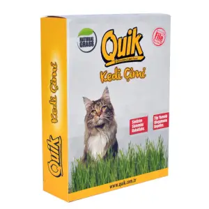 Gerçek Topraklı Kedi Çimi