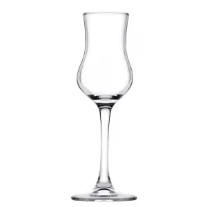 Grappa Dıgestıve Kadeh 95 CC 6 PT