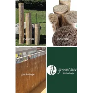 Greenosier 1mX3m hasır kamış çit