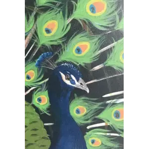 Independently published Gorgeous Peacock Journal