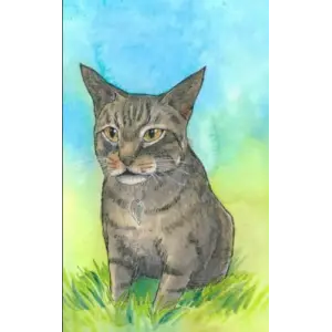 Independently published Journal: Journal with brown tabby cat