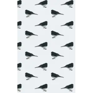 Independently published Junco Notebook 5x8